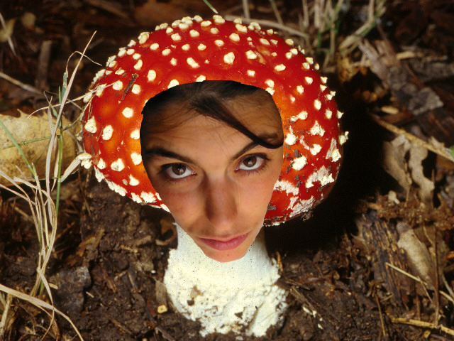 siempre hay una primera vez_sept09 siempre hay una primera vez_sept09