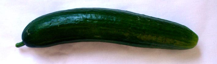 BerlinGoesBio12luciaegana BerlinGoesBio12luciaegana