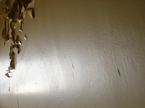 descascarado descascarado