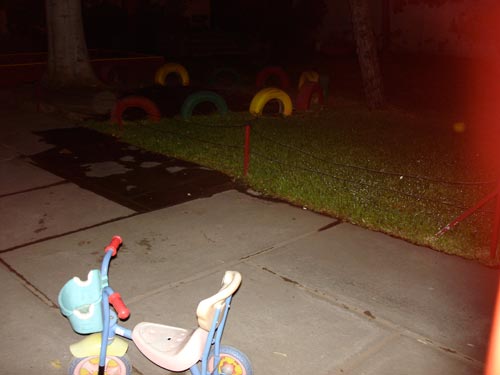 davidlynch davidlynch