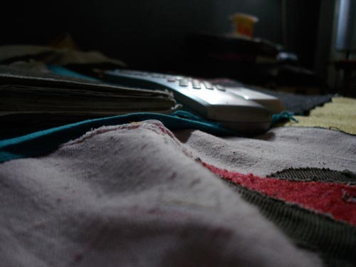 enfermedad, lucía egaña rojas, la floresta 2010 enfermedad, lucía egaña rojas, la floresta 2010