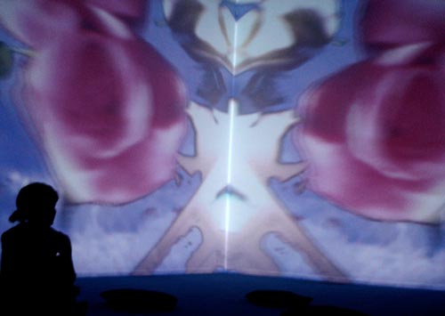 pipilotti rist en fundación miró, agosto 2010, foto: lucía egaña pipilotti rist en fundación miró, agosto 2010, foto: lucía egaña